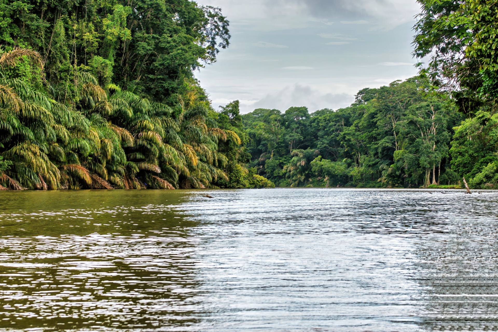 Bootsfahrt im NP Tortuguero